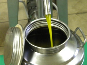 Bio-Öl