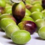 neue Olivenöl aus Olundhonig