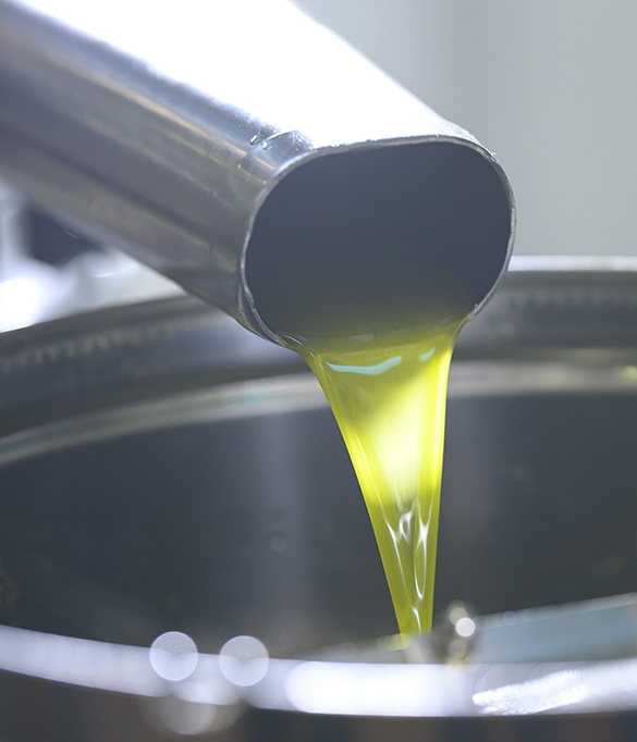 Bio-Olivenöl von Produzenten frantoio
